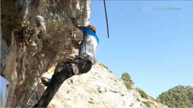 Video Vía Ferrata de Igualeja, Málaga in English