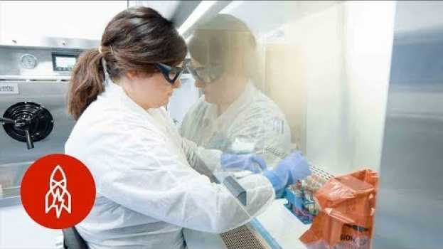 Video The Disease Detectives Stop Outbreaks at Their Source su italiano