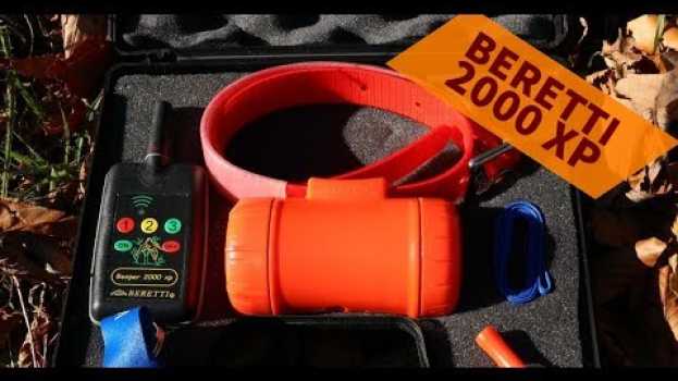 Video Beretti 2000xp con radiocomando, il beeper più usato dai beccacciai en español
