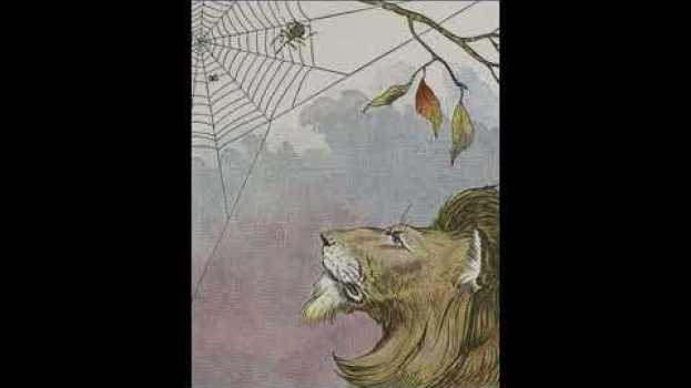 Video The Lion and The Gnat  -- An Aesop's Fable em português