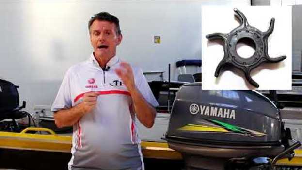 Video Quando e porque devo trocar o Rotor de meu motor de popa en français
