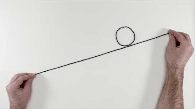 Video 4. Get Savvy With Systems - 4/7 Doughnut Economics auf Deutsch