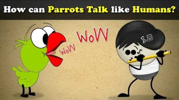 Video How can Parrots Talk like Humans? + more videos | #aumsum #kids #science #education #children auf Deutsch