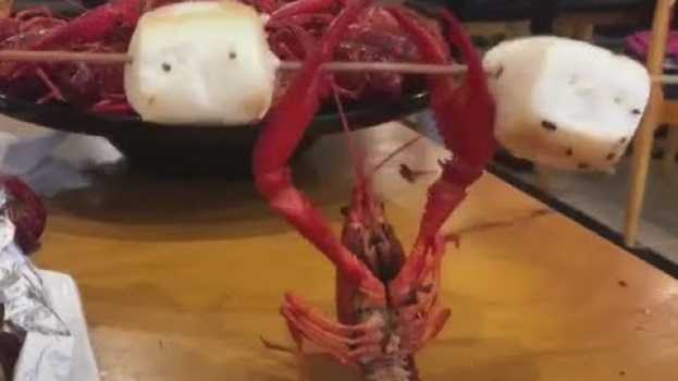Video Cigala Hace Ejercicio con Pesas en français