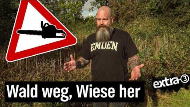 Video Realer Irrsinn aus Emden: Ein Wald wird zur Wiese | extra 3 | NDR in English