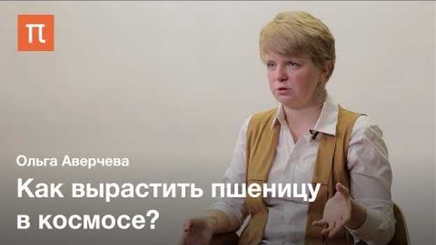 Video Выращивание растений под светодиодами — Ольга Аверчева auf Deutsch