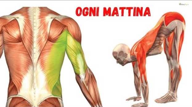 Видео 6 esercizi stretching da fare tutti i giorni на русском