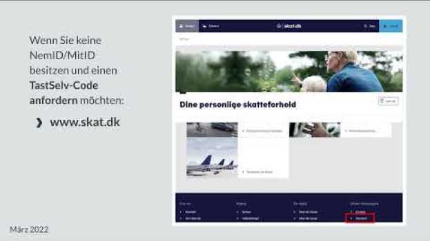 Video Steuererklärung - Allgemeines zu Steuern und zur Steuererklärung in DK su italiano