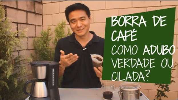 Видео BORRA DE CAFÉ como ADUBO - É bom ou é cilada? на русском