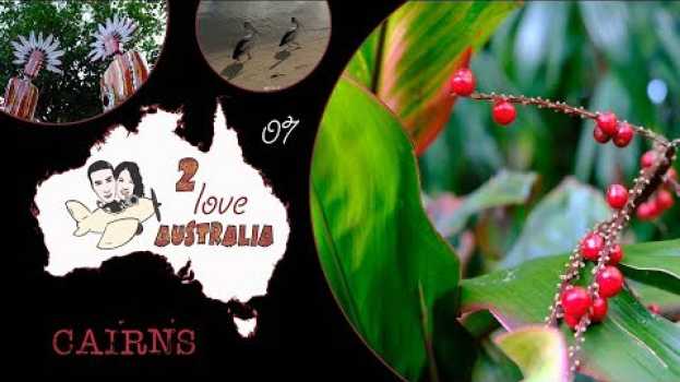 Video CAIRNS, esplosione di colore tropicale nel QUEENSLAND #Australia2love.07 documentario di viaggio en español