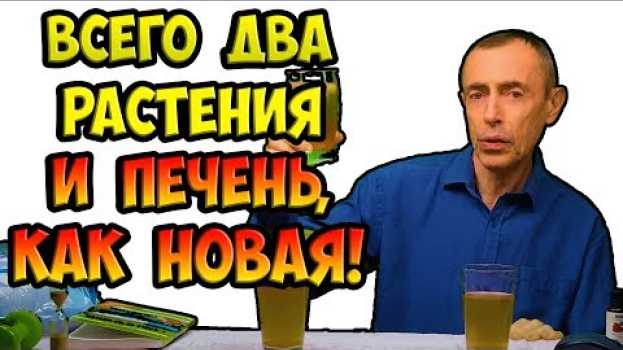 Video ВСЕГО ДВА РАСТЕНИЯ - И ПЕЧЕНЬ, КАК НОВАЯ! И ВЫ БОЙКИЙ, СИЛЬНЫЙ, НЕУЯЗВИМЫЙ И КРЕПКИЙ! Островский en français