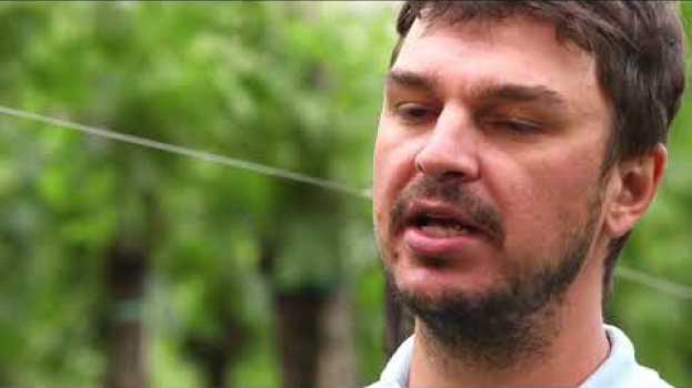 Video Come si produce un Merlot di Qualità nel Collio? Ci risponde Matej Fiegl en español