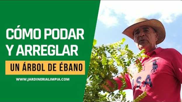 Video ?La forma más FÁCIL y RÁPIDA de arreglar tu ?EBANO? em português