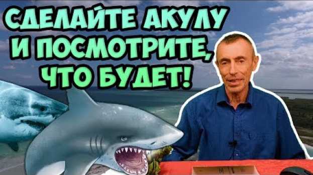 Video СДЕЛАЙТЕ УПРАЖНЕНИЕ АКУЛА И ВЫ ЧЕРЕЗ МЕСЯЦ ПОСМОТРИТЕ, ЧТО БУДЕТ! Островский. С чего начать уборку em português