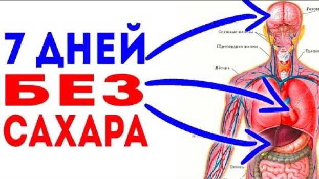Video Что случится с ВАШИМ ОРГАНИЗМОМ, если не есть сахар 7 дней 🌳 Здоровье и долголетие em português