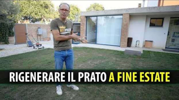 Video RIGENERARE IL PRATO a Fine Estate e in Autunno po polsku