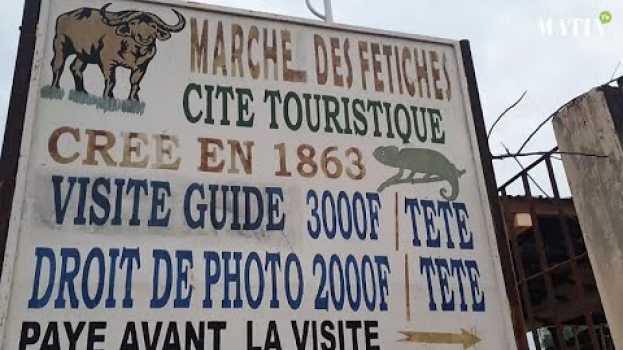 Video Immersion dans le marché des féticheurs du Togo po polsku