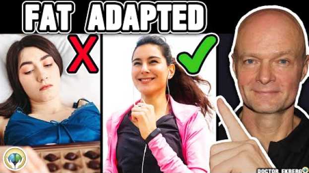 Video 10 Key Signs You Are Fat Adapted (No Equipment Needed)   türkçe