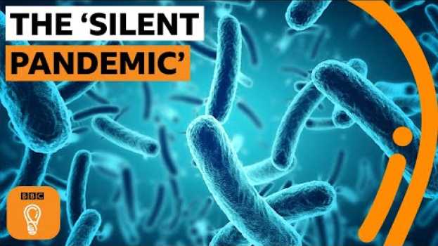 Video What is antibiotic resistance and why is it the next health crisis? | The Royal Society po polsku