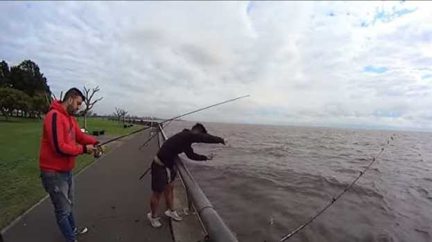 Video Pesca de Costa, mucho pique en vicente lopez muchos peces !!! su italiano