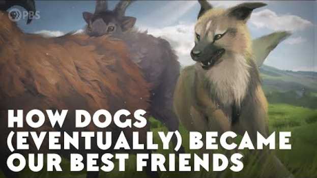 Video How Dogs (Eventually) Became Our Best Friends in English