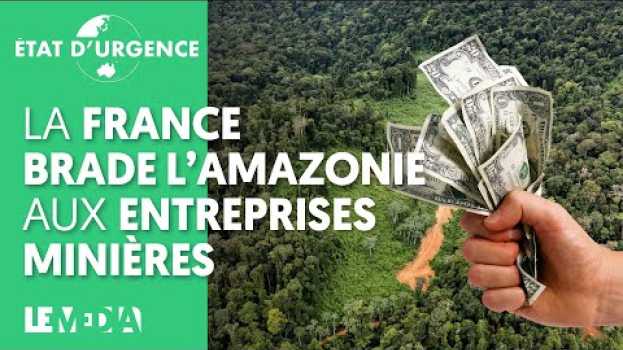 Video LA FRANCE BRADE L'AMAZONIE AUX ENTREPRISES MINIÈRES po polsku