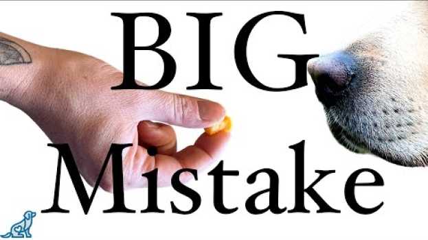 Video The BIGGEST Mistakes People Make When Treat Training A Puppy   türkçe