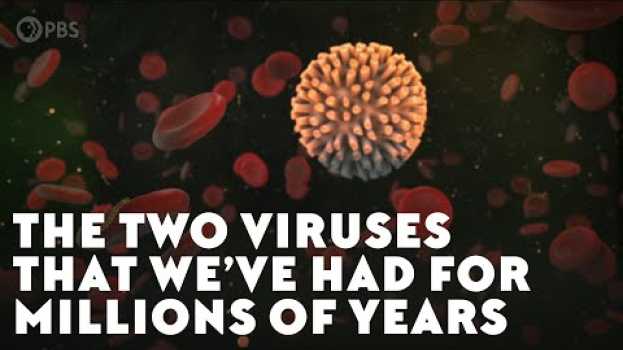 Video The Two Viruses That We’ve Had For Millions of Years en español