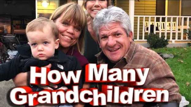 Video ‘Little People, Big World’: How Many Grandchildren Do Matt and Amy Roloff Have?   türkçe