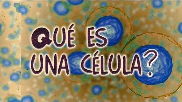 Video Qué es una célula (Parte II) (Células eucariotas)   türkçe