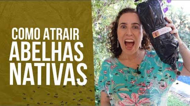 Video COMO ATRAIR ABELHAS (SEM FERRÃO) PARA O JARDIM | Nô Figueiredo po polsku