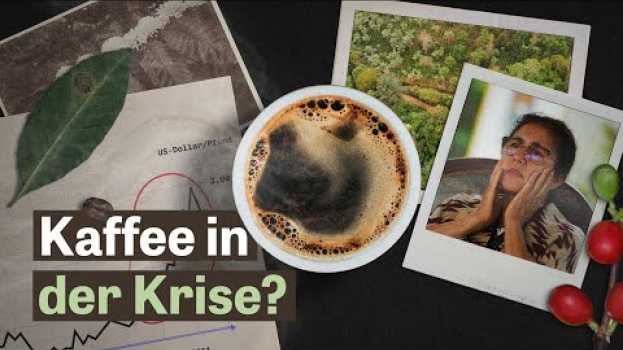 Video Warum Kaffee teurer werden muss oder schlechter schmecken wird su italiano