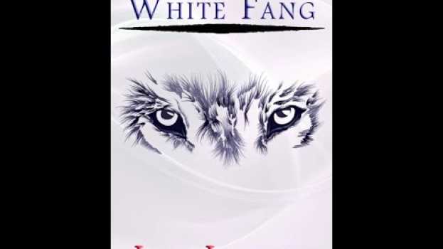 Video Plot summary, “White Fang” by Jack London in 3 Minutes - Book Review po polsku