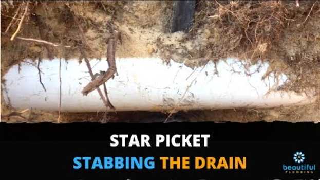 Video Stabbed by Star Picket: You Need to See This Blocked Drain en español