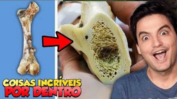 Video COISAS INCRÍVEIS CORTADAS AO MEIO [+10] en español