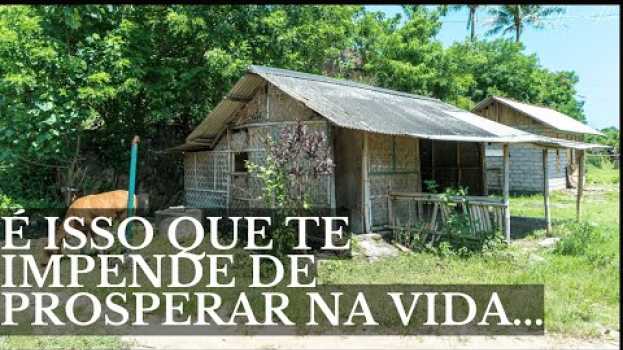 Video O SÁBIO E A VACA (Uma História Surpreendente)   türkçe