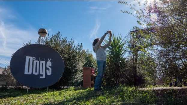 Video ORTO ALLA SLIM DOGS, SI PUÒ FARE! auf Deutsch