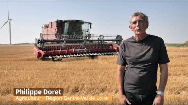 Video Comment les agriculteurs protègent-ils la biodiversité ? | Passion Céréales su italiano