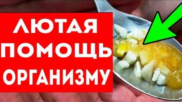 Video СЪЕДАЙТЕ ЧЕСНОК С МЕДОМ, вот что произойдет с организмом! Про здоровье и долголетие po polsku