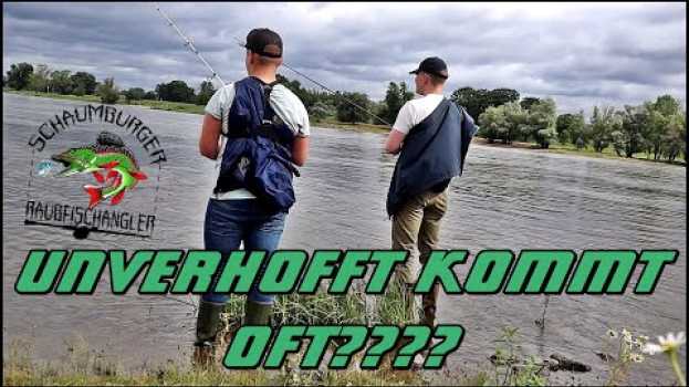 Video Unverhofftes Trippel oder doch nicht? | Wo versteckt sich der Zander! po polsku
