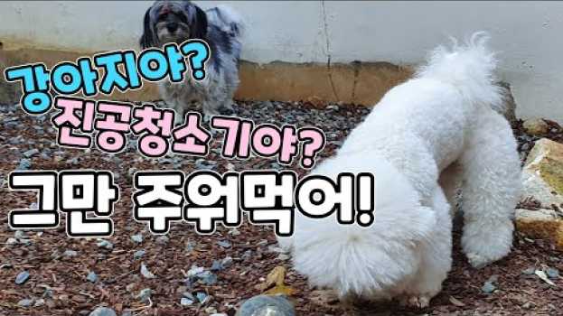 Video  in English