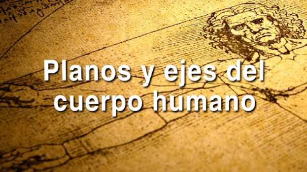 Video REDA:   Las articulaciones del cuerpo humano  -  Planos y ejes del cuerpo humano auf Deutsch