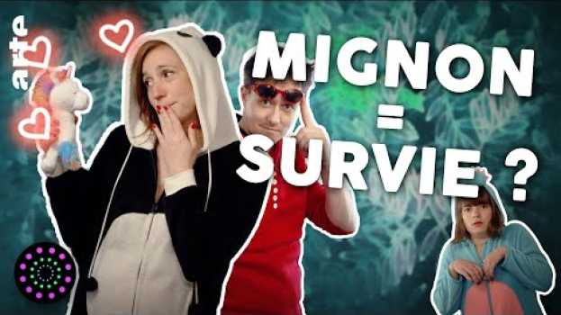 Video Faut-il être mignon pour survivre ? | Zeste de Science & Hygiène Mentale | Le Vortex #16 em português