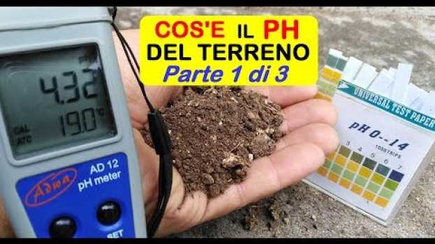 Video COS'E' IL PH DEL TERRENO (PARTE 1 DI 3) po polsku