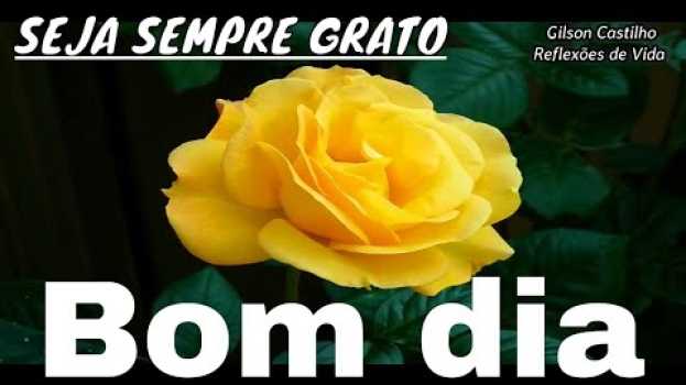 Video Mensagem de Bom Dia / Agradeça Sempre Por Tudo ! en français