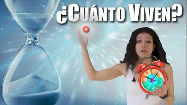 Video ¿Cuánto tiempo viven las partículas? in English