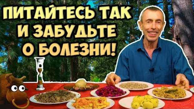 Video ПИТАЙТЕСЬ ТОЛЬКО ТАК И ВЫ ЗАБУДЕТЕ О БОЛЕЗНИ! Островский. Завтрак Обед Макробиотика Здоровое Питание in English