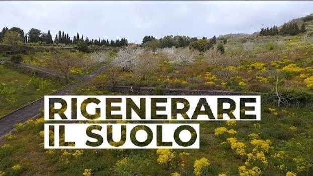 Video Rigenerare il SUOLO, la VITA porta la VITA | Coltivare l'orto en español