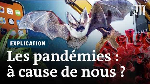 Video Comment l’humanité déclenche des pandémies (comme le Covid-19)   türkçe