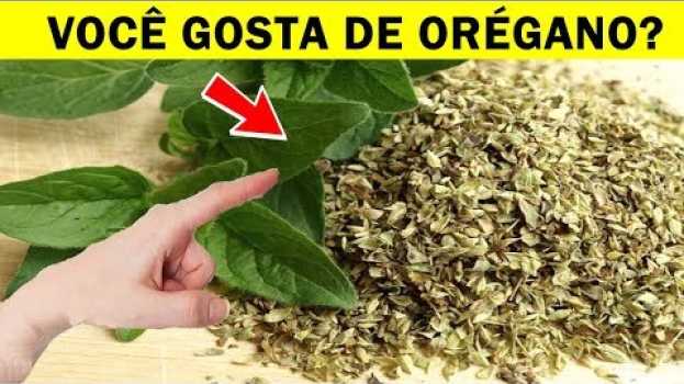 Video 🌿Minha Nossa! Se Eu Soubesse Disso Antes! 5 Benefícios do ORÉGANO Para a Saúde su italiano